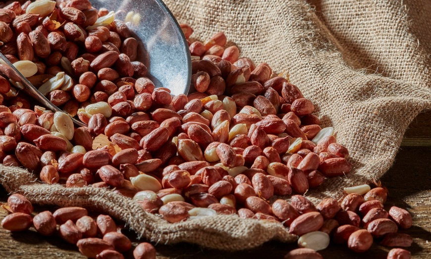 Image 9: Happy Beaks Bird Seed Selection