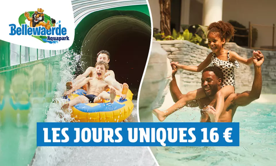 1 billet adulte ou enfant pour Aquapark valable du 9 mai au 8 juillet 2024 - Primary Image