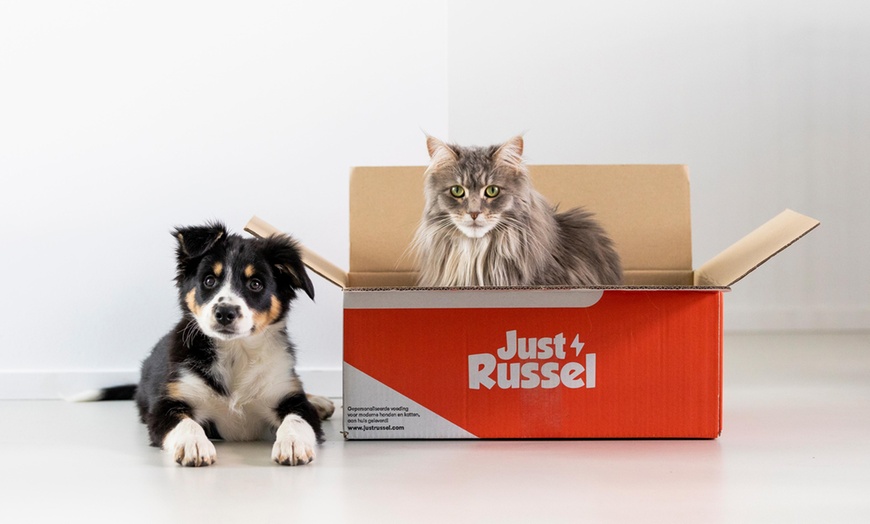 Image 3: 35 % de remise sur l'alimentation personnalisée pour votre animal