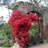 Image 4: Mission San Juan Capistrano – 50% Off Visit