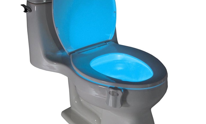 groupon toilet light