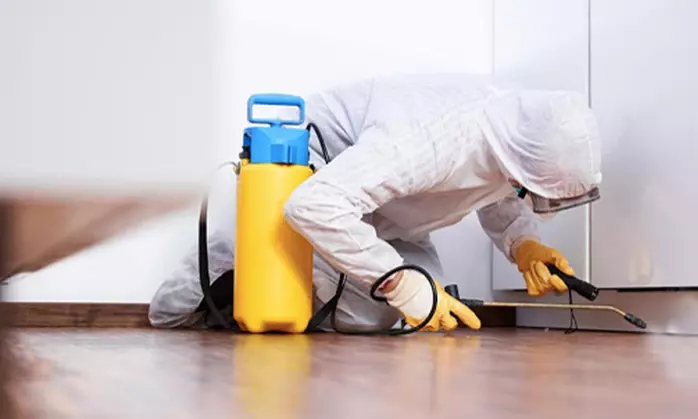 Desinfección vírica a domicilio