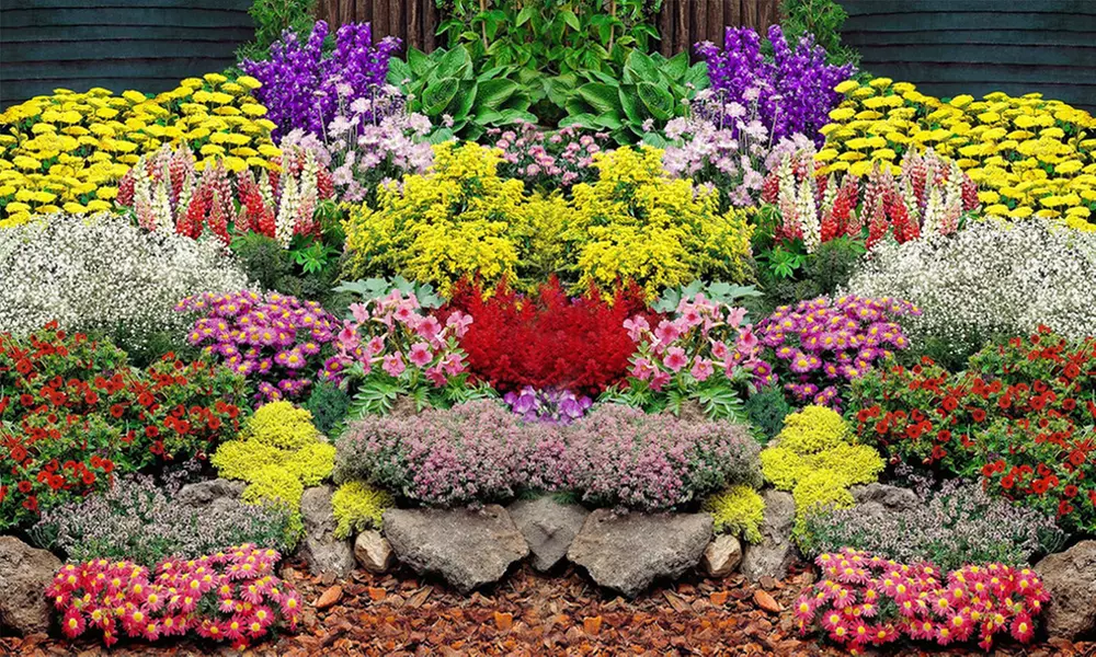 Baldur Garten großer Staudengarten mit 28, 42 oder 56 Pflanzen, optional mit COMPO Stauden-Langzeit-Dünger - Primary Image