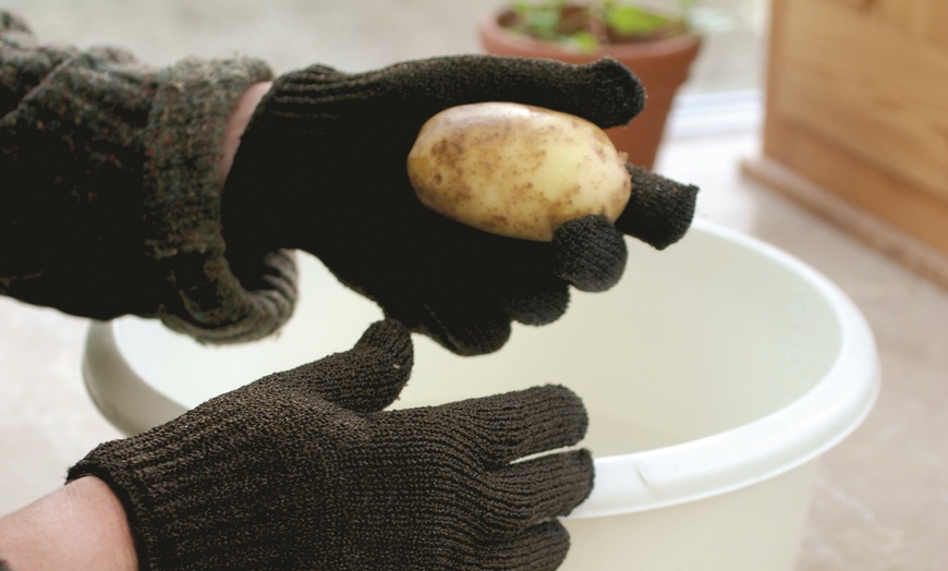 Image 1: Potato Scrubbing Gloves