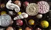 $18 for $30 Toward Chocolates and Other Sweets at Banyan Tree Chocolate & Cafe