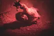 Spine Chilling Horror With VIP or General Entry Pass to 2025 Dark New England Haunted Trail ( Up to 26% off ) - Second Medium