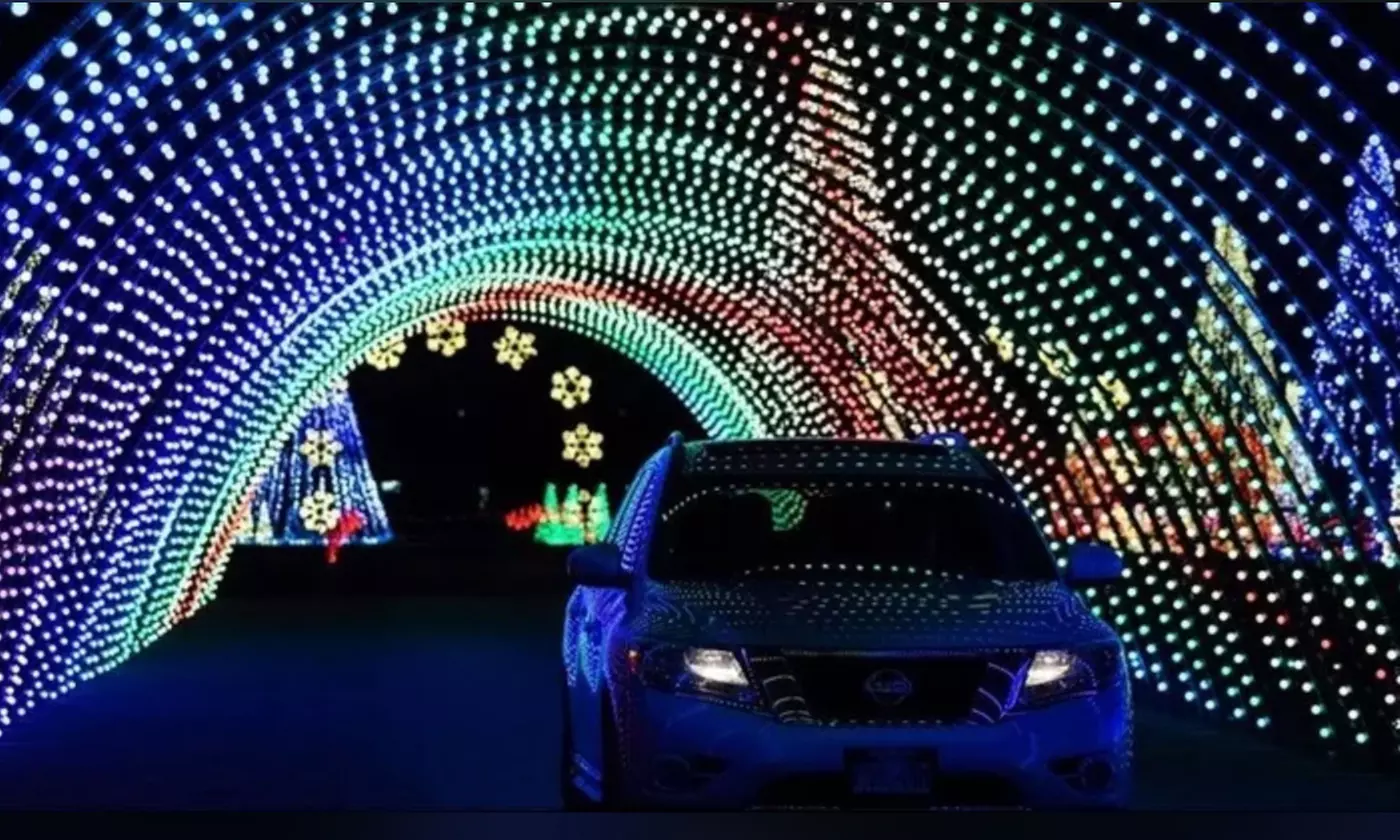 Single-Day Carload, Bus, or Limo Admission at Gift of Lights (Up to 33% Off) - Primary Image
