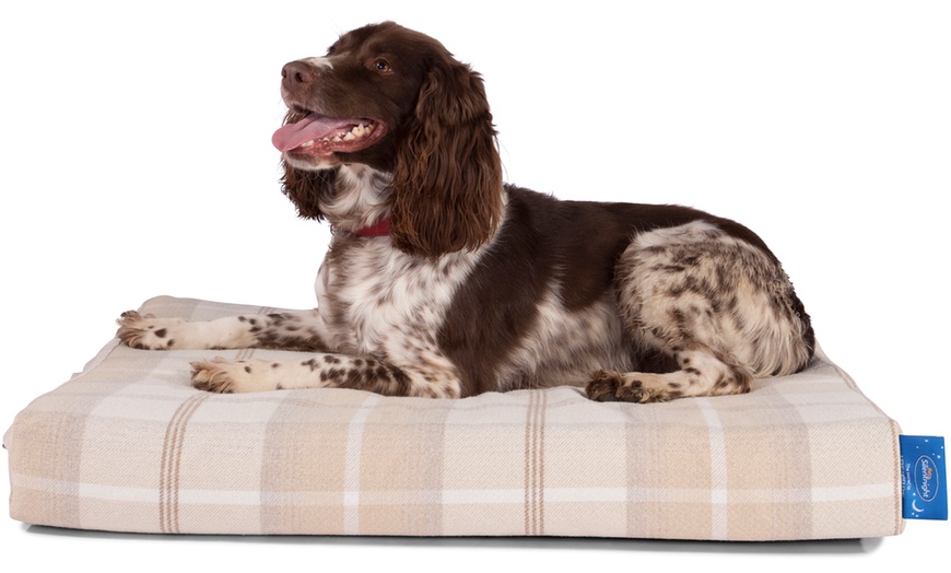 Image 13: Silentnight Dog Bed