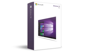 Microsoft Windows 10 Professional