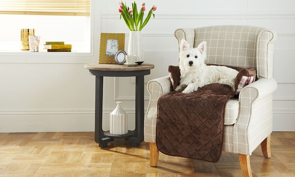 bunty dog bed groupon