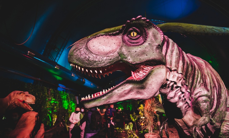 Image 9: Visita temática y exposición