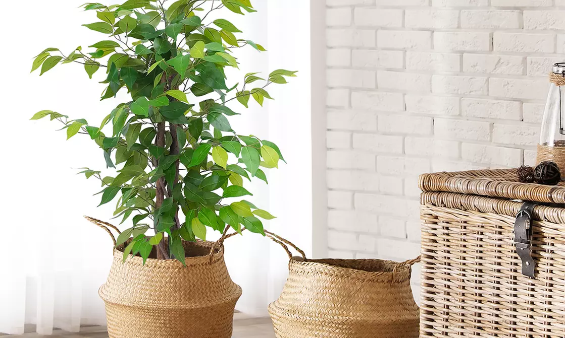 Collezione di piante finte da interno