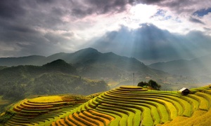 Vietnam: 12-Day North To South Tour with Meals