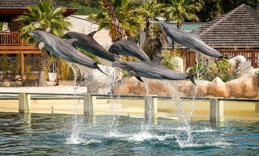 Image 6: Au cœur de Marineland, le plus grand zoo marin d'Europe