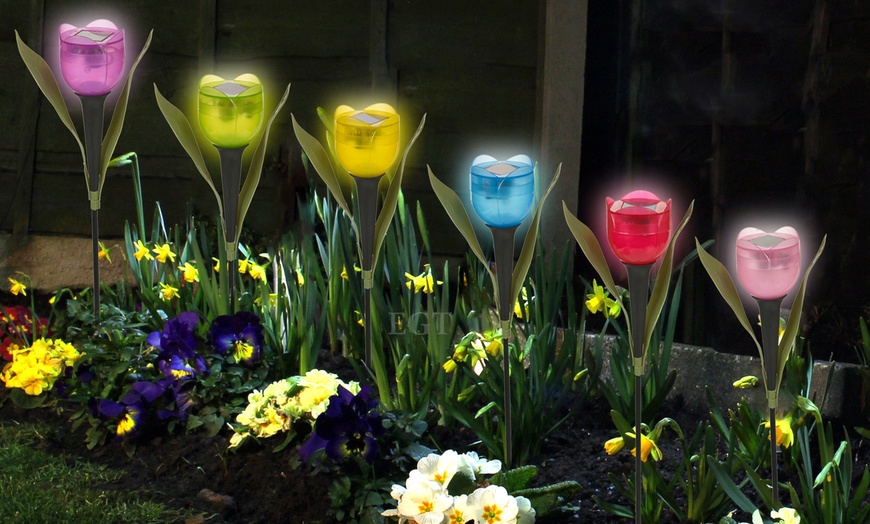 Image 1: Garden Solar Tulip Lights