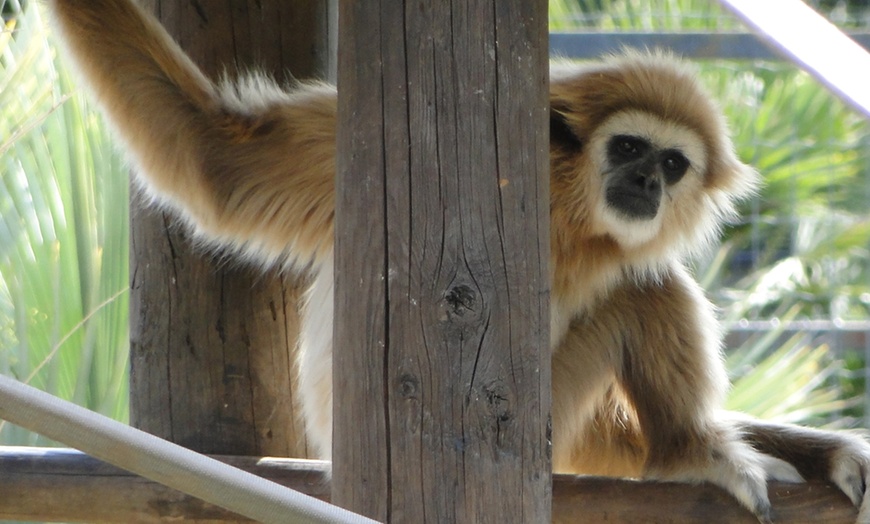 Image 14: Zoo de Fréjus : les animaux comme vous ne les avez jamais vus !