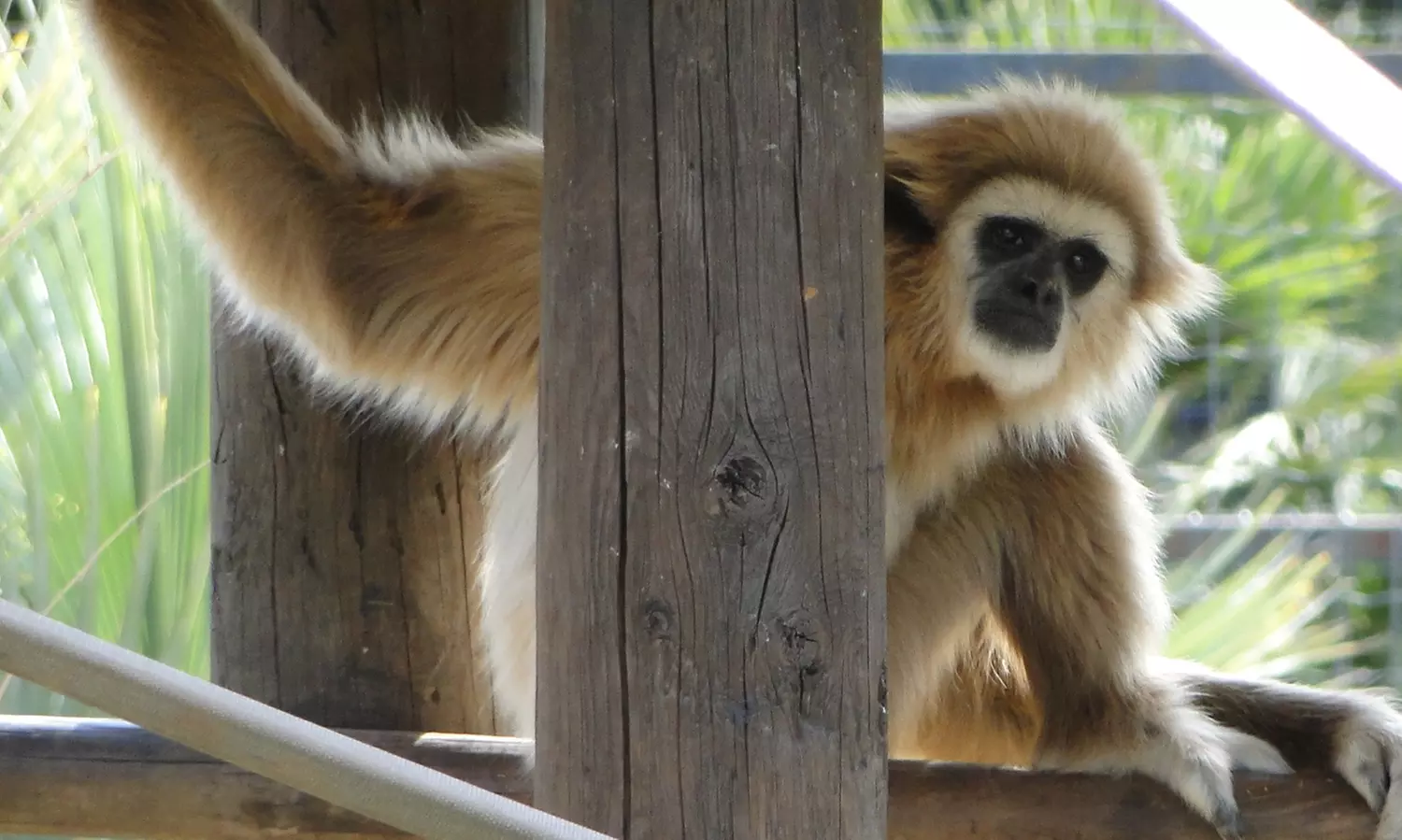 Parc Zoologique de Fréjus : au cœur de la biodiversité méditerranéenne