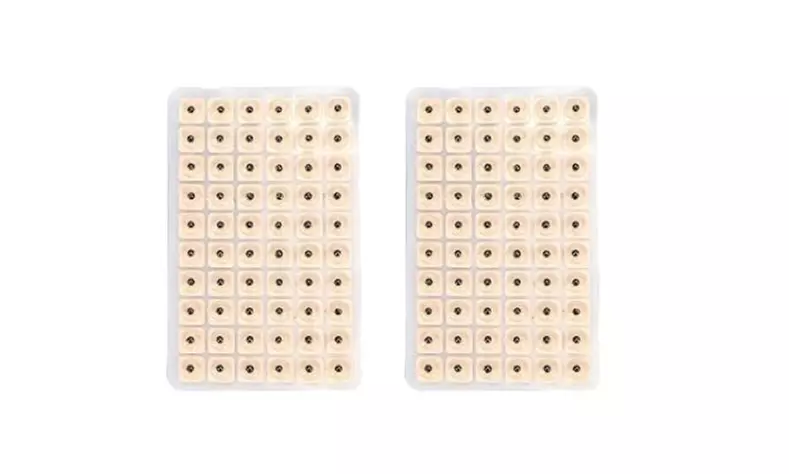 Bis zu 10x Acusoothe Ohrensamen für Akupressur und Akupunktur-Therapie