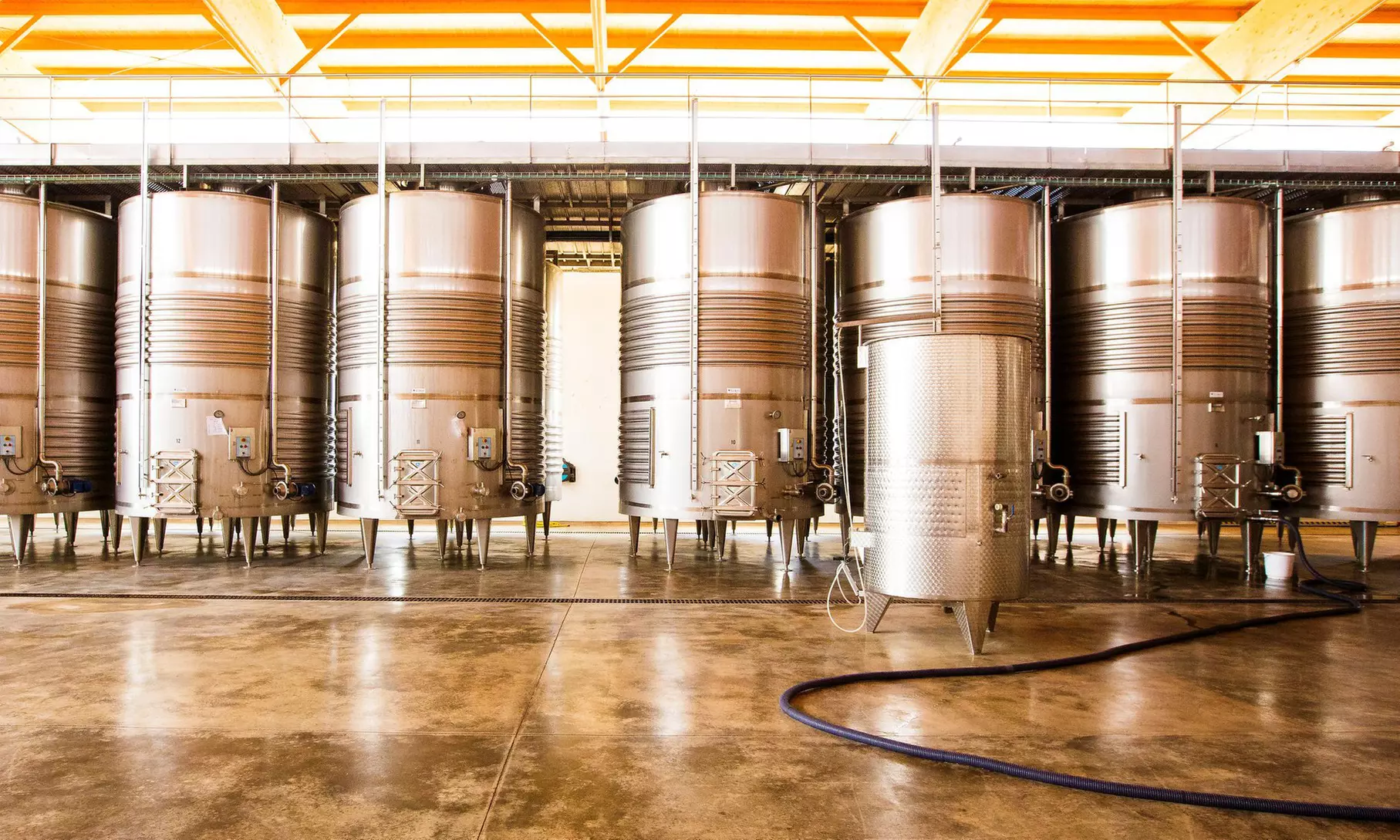 Visita guiada y cata de vinos para 2 o 4 personas