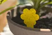 Pack de 30 trampas de insectos para plantas de interior y exterior - Second Medium