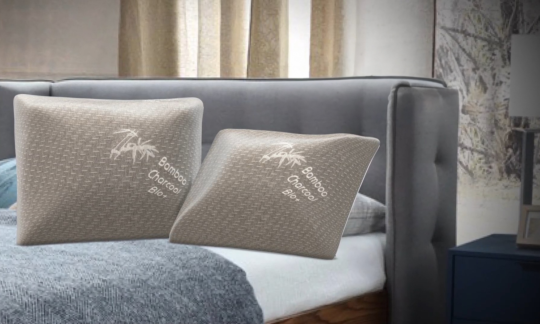 1 ou 2 oreillers en charbon de bambou de la marque Herzberg