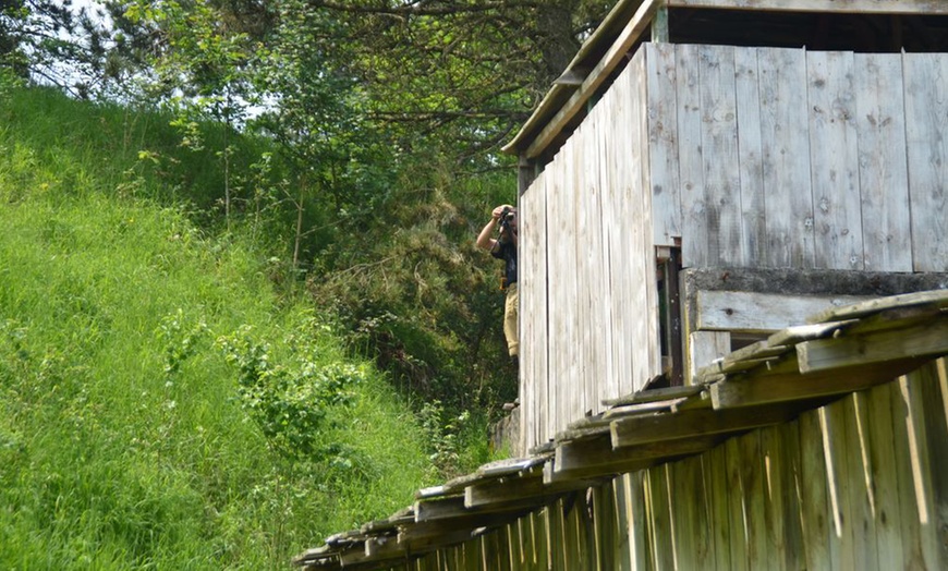 Image 14: 2h30 de paintball au choix