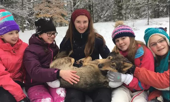 Admission for One, Two, or Four to Ultimate Dog Sledding Winter Festival (Up to 51% Off) - Second Medium
