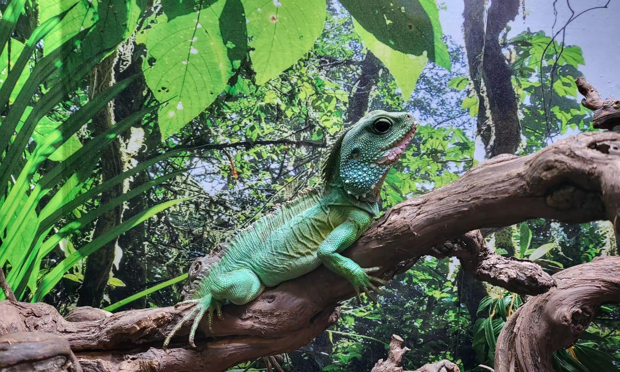 Up to 14% Off on Zoo / Animal Park at Get To Know Animals