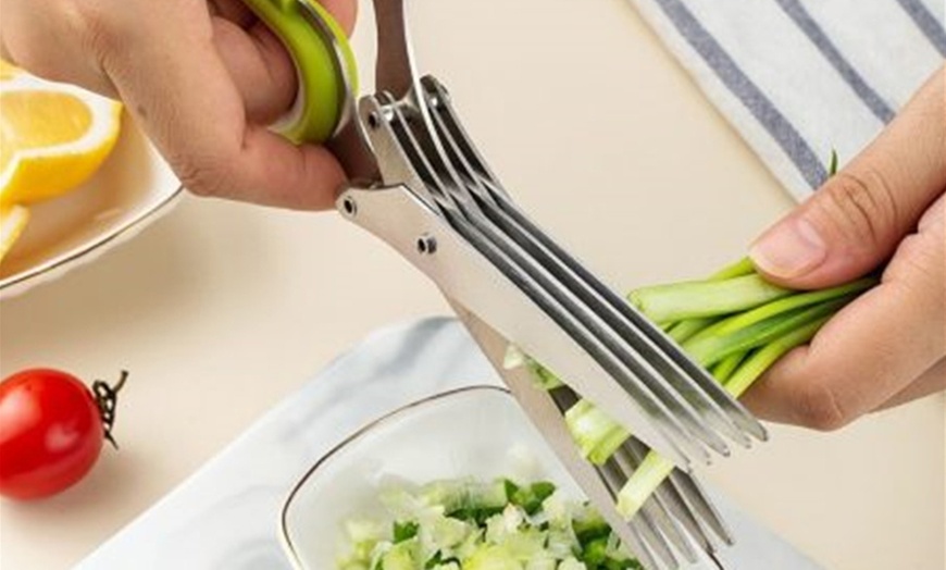 Image 3: Five-Layered Vegetable Cutting Scissors 