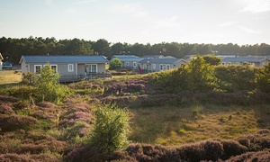 Texel: chalet (3-7 nachten) voor 4 of 5 pers. op een vakantiepark