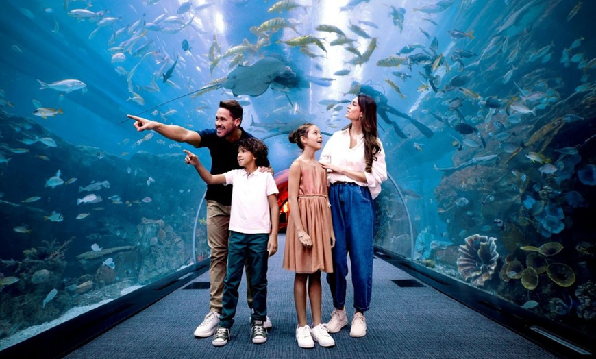 Image 8: Explore Dubai Aquarium with Frame, Glow Garden, Aya Universe & More!