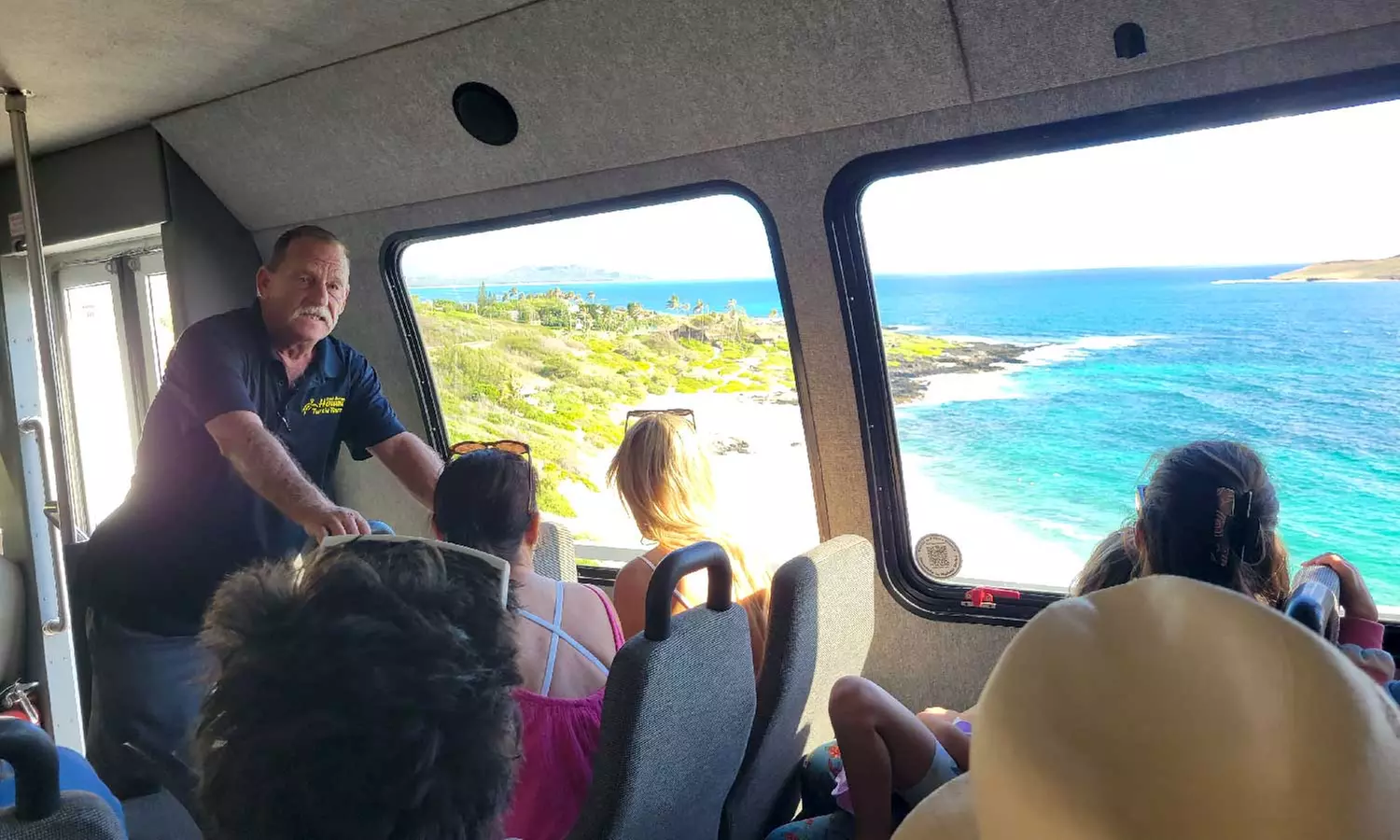 Explore Oahu's Best Spots & Swim With Turtles on a Circle Island Tour by Hawaii Turtle Tours with Up To 40% Off - Primary Image