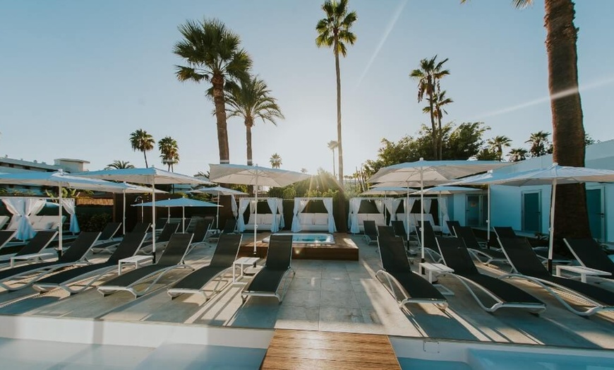 Image 6: ¡Día de piscina con hamacas y cócteles!