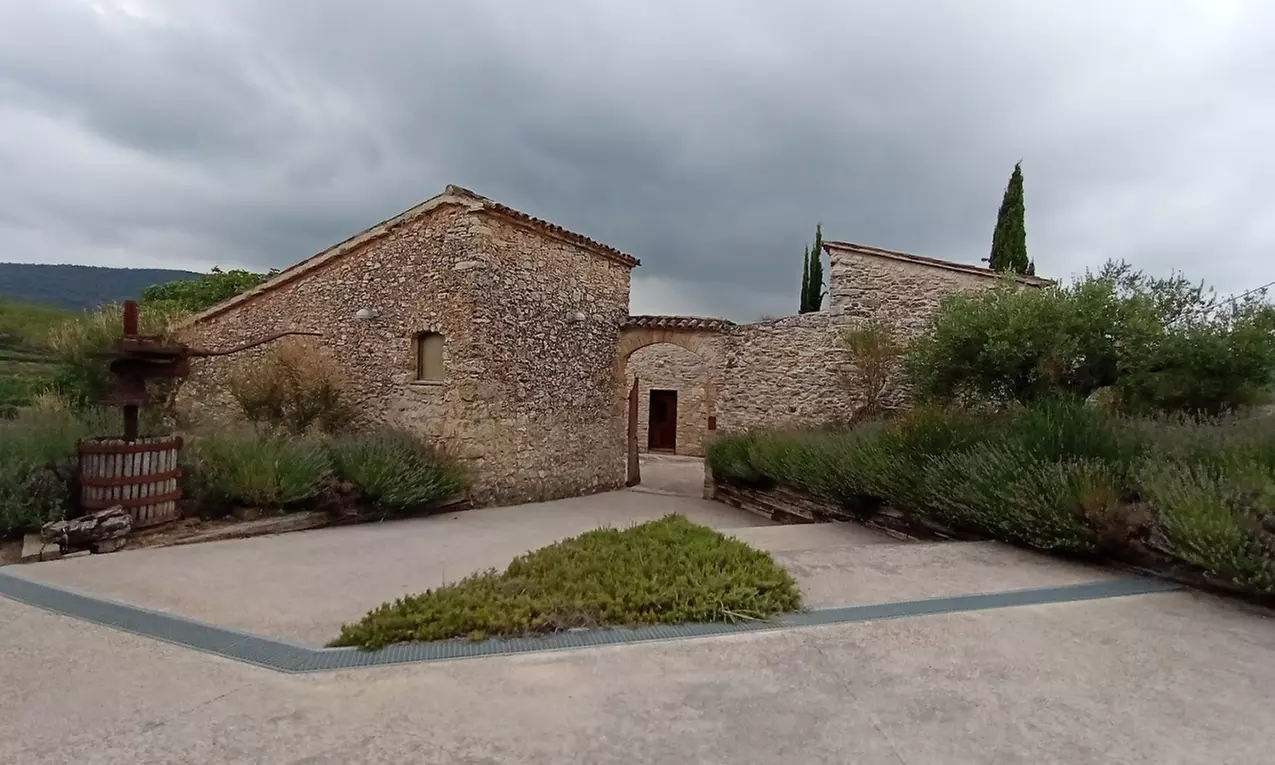 Paseo por viñedo, visita a bodegas y cata de 3 vinos para 1 o 2