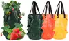 3 Gallon Strawberry Grow Bag Strawberry Plant Bag with 8 Side Planting Pockets