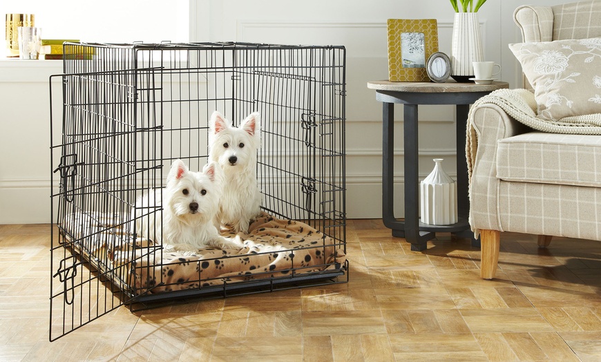 Groupon 2025 dog crate