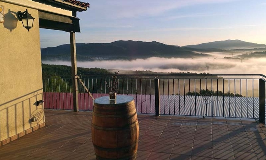 Image 4: Visita a bodega con cata de 3 vinos