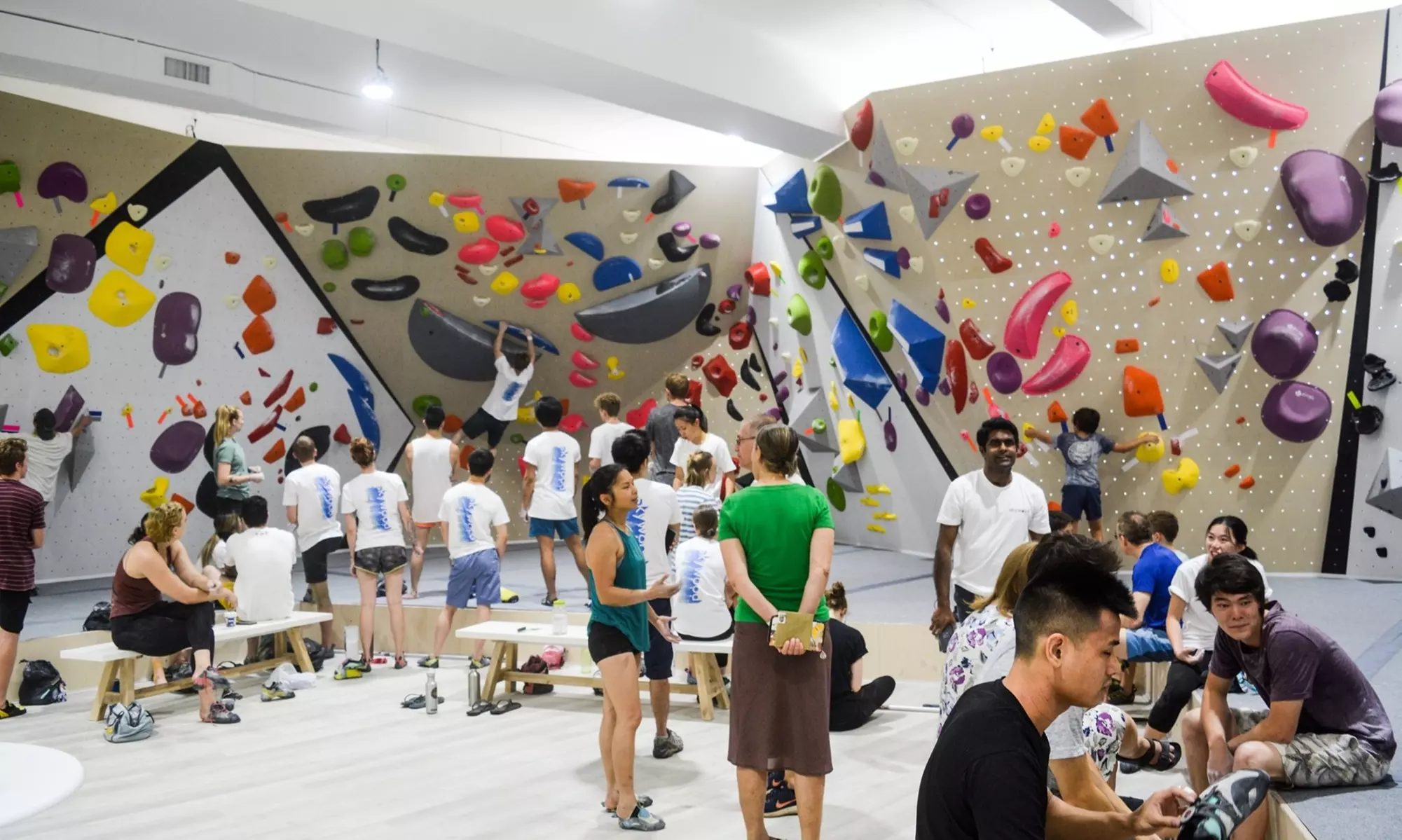 Full-Day Bouldering + Shoe Rental