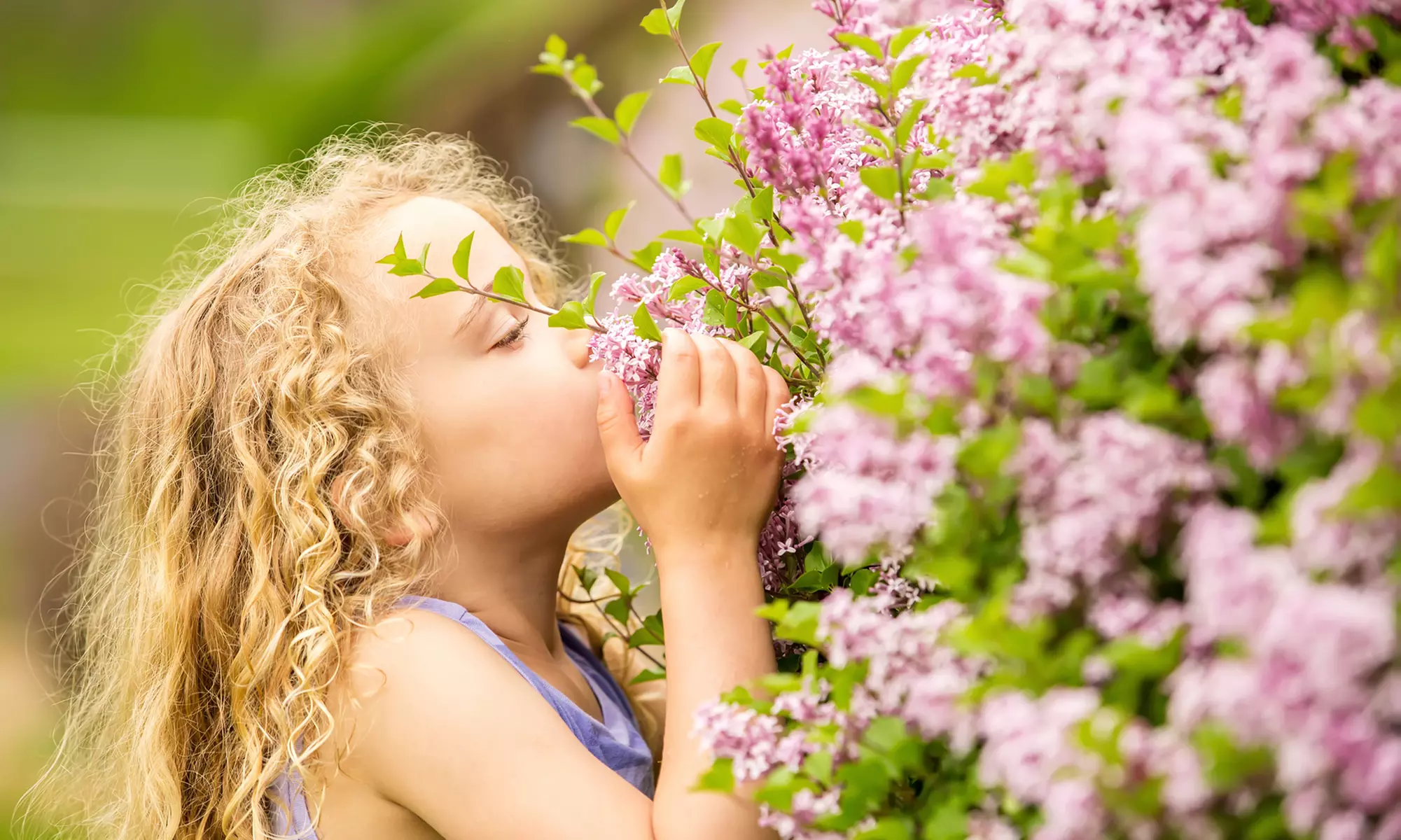 Admission for One, Two, or Four to Lilac Festival in April at Fort Cross Old Timey Adventures (Up to 55% Off) - Primary Image