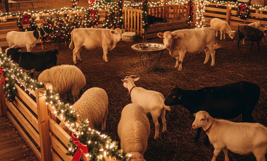 Image 5: Experience the Magic of the Holidays: Children or Adult Admission