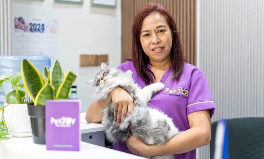 Image 4: Full Dental scaling for Pets at Pet Joy Veterinary Clinic