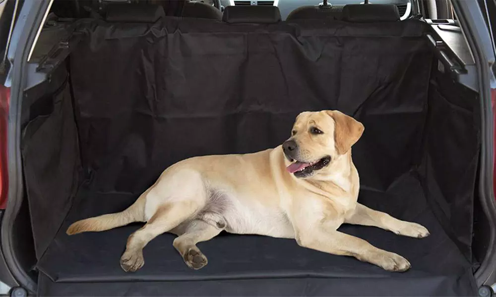 1 o 2 fundas negras protectoras para el maletero del coche - Primary Image