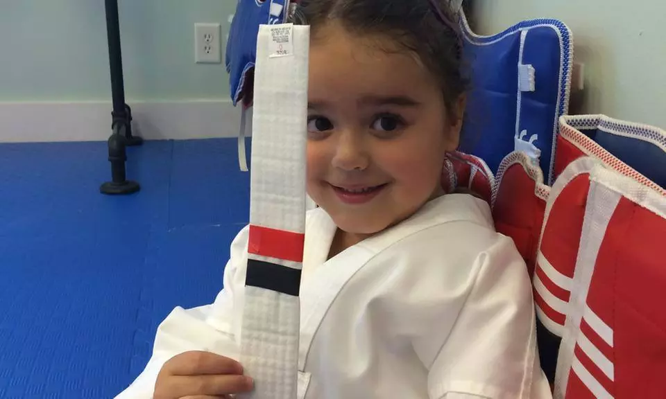 $39 for $150 Worth of Services — Midwest Tae Kwon Do Academy - Primary Image