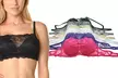 Angelina Floral Lace-Paneled Modesty Bras (6-Pack) - Second Medium