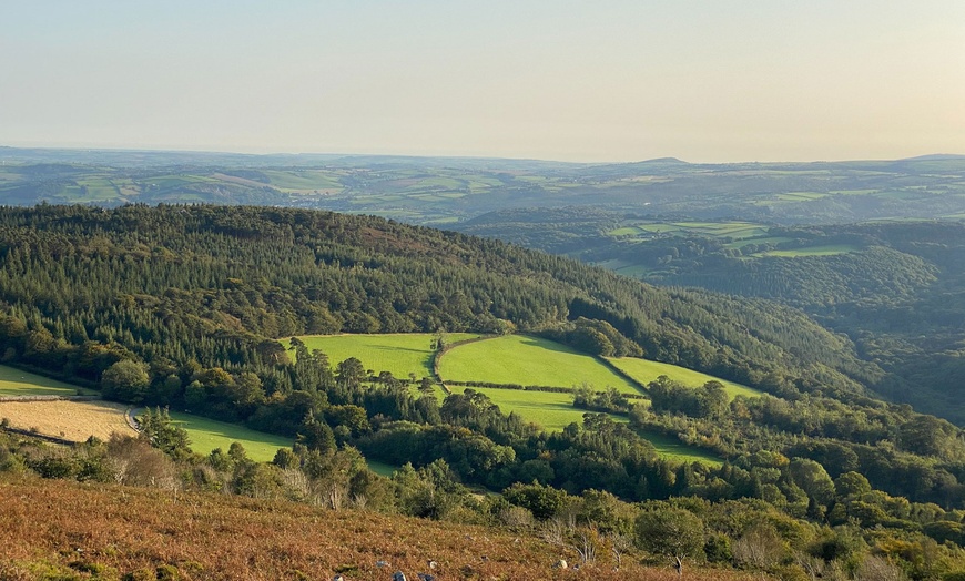 Image 7: Devon: Dog Friendly stay with Breakfast and Cream Tea