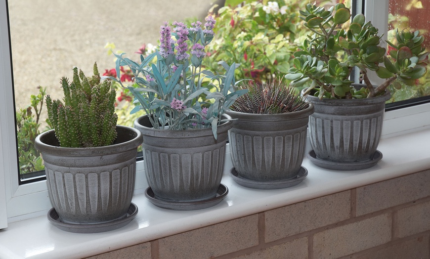 Image 1: Georgian-Style Mini Planters