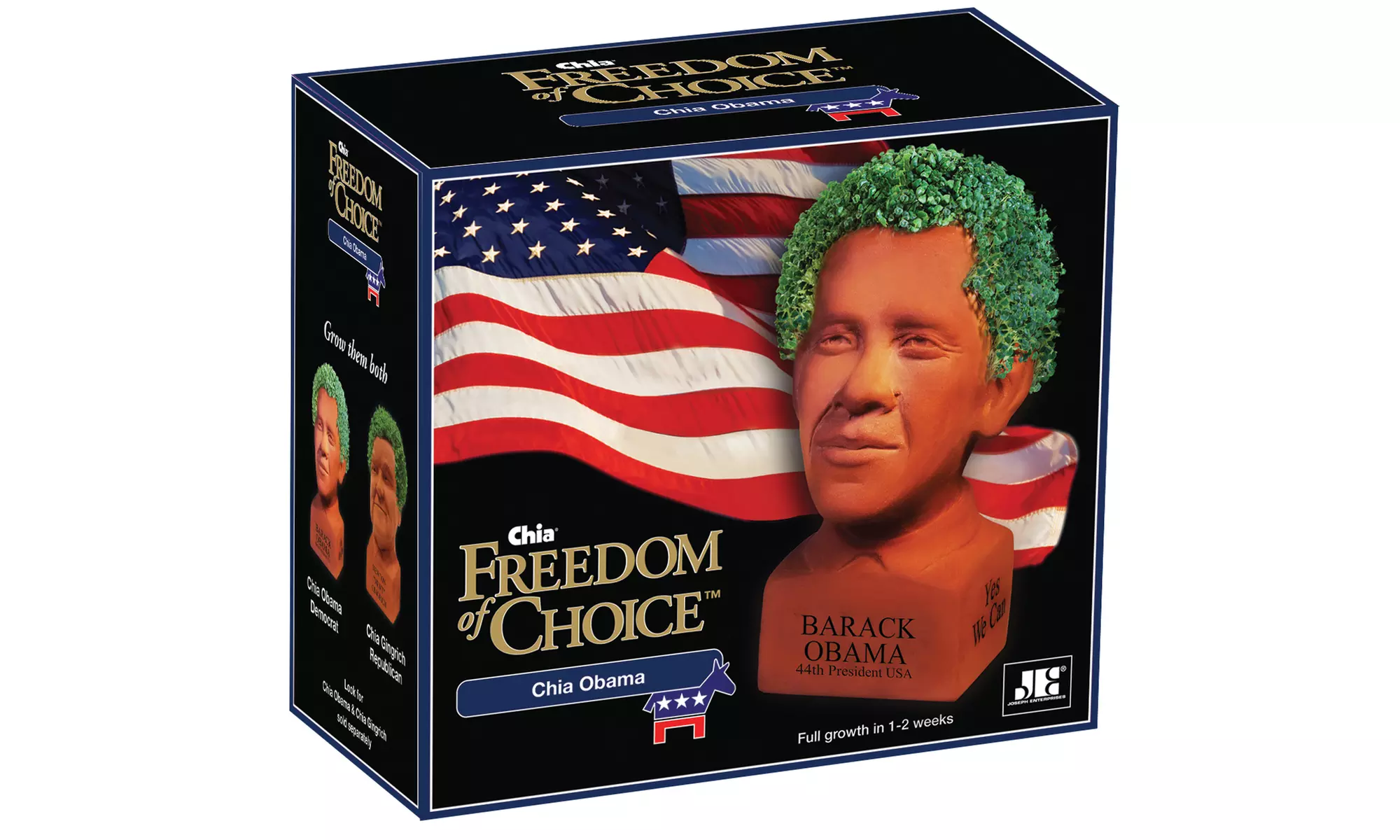 Chia Pets Freedom of Choice: Trump, Clinton or Obama - Second Medium