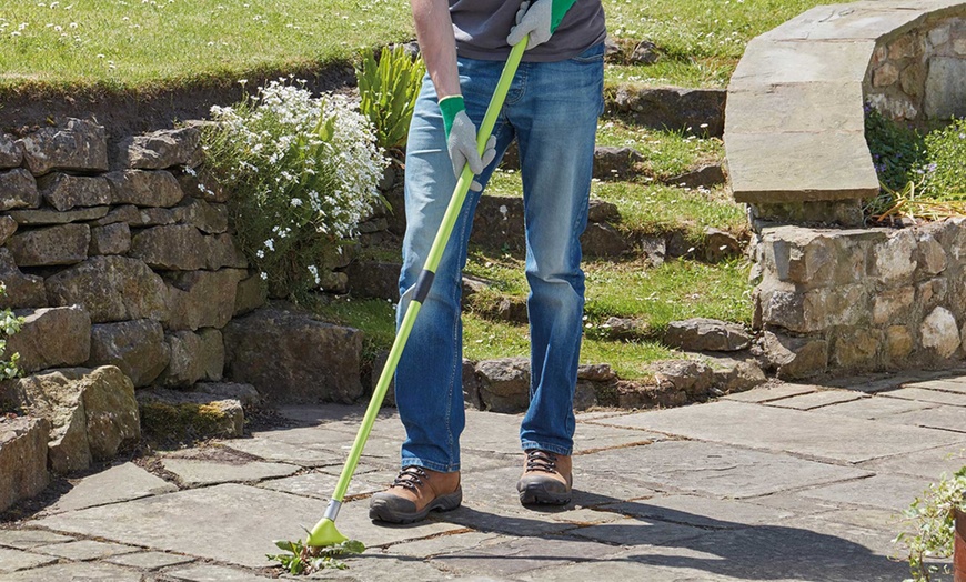 Image 1: Two-in-One Garden Brush