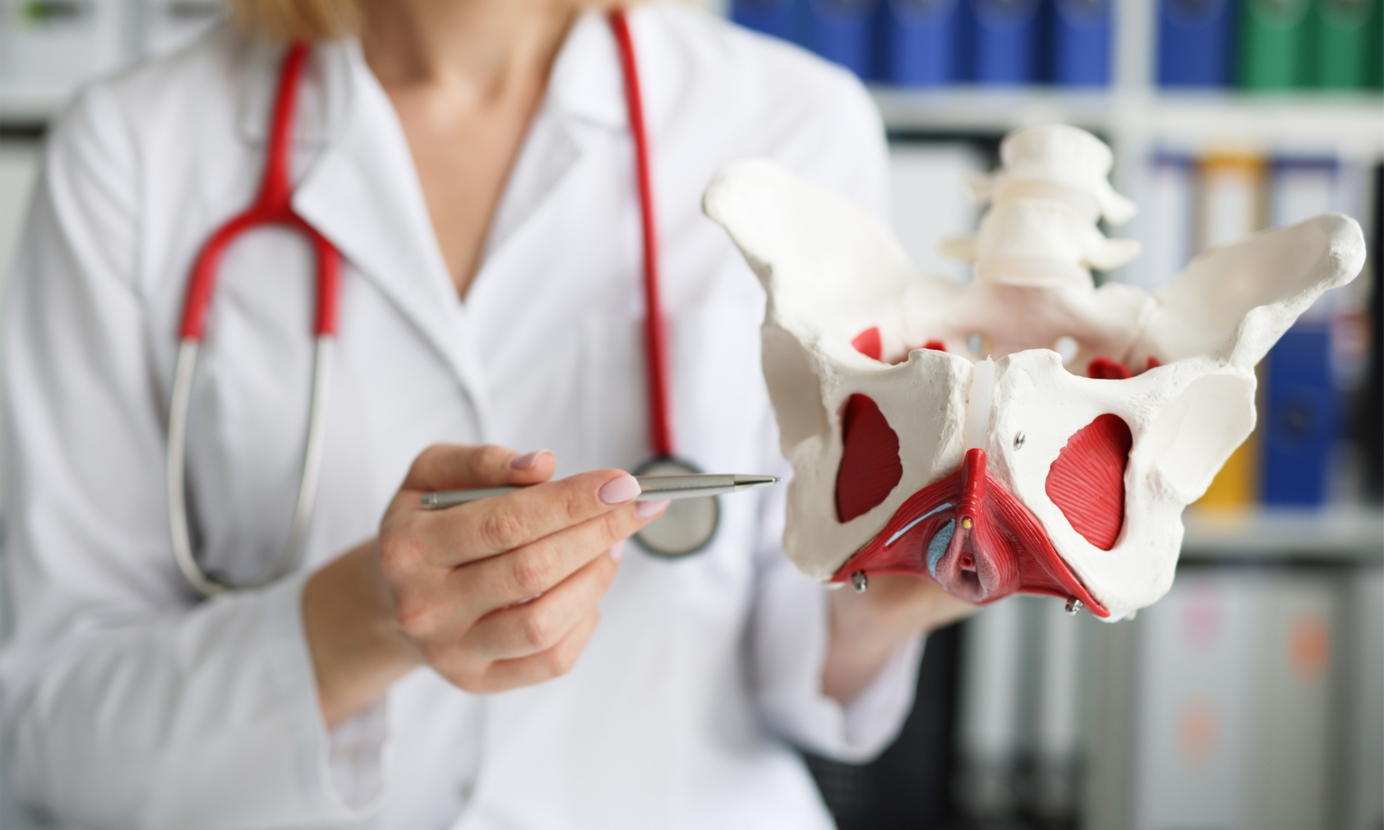 1x oder 5x Tesla Pelvichair Sitzng: Beckenbodentraining ohne Eingriffe