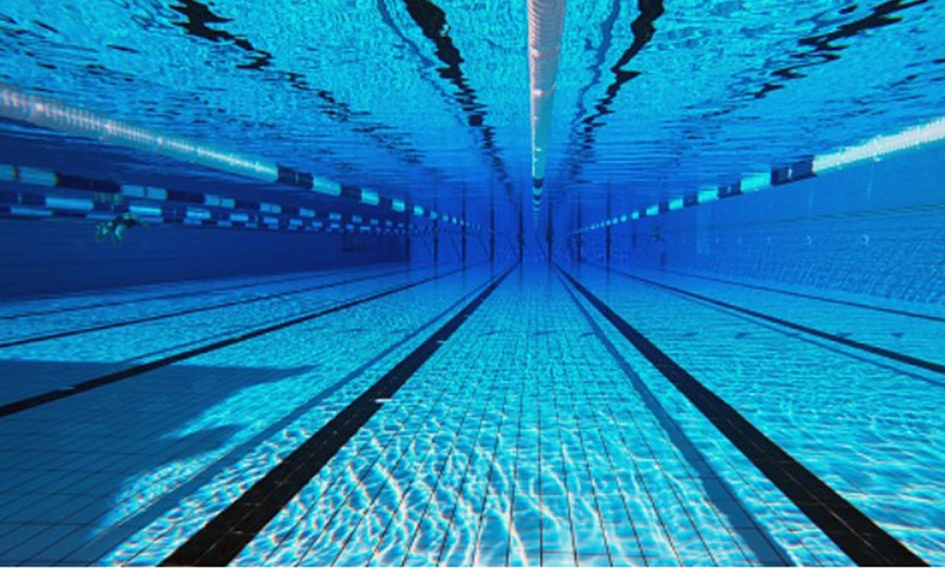 Image 4: Pases para la piscina en Palacio de deportes Benalmádena